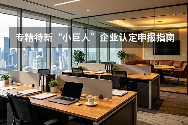 专精特新&ldquo;小巨人&rdquo;企业认定申报指南：六大指标拆解、流程与政策扶持